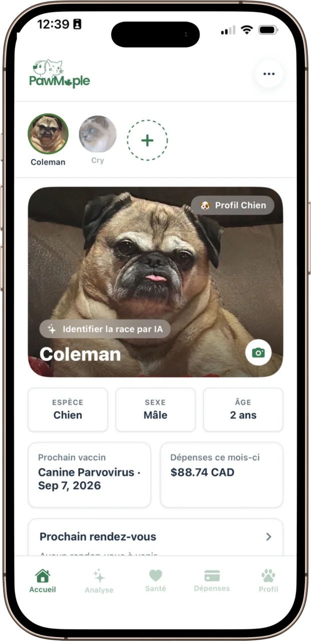 Le tableau de bord PawMaple sur un iPhone : le sélecteur d'animal, un golden retriever identifié, le prochain vaccin et les dépenses du mois