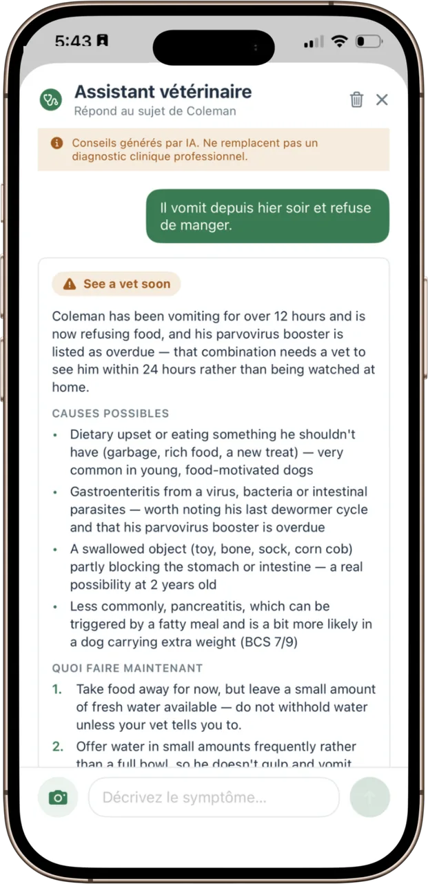 L'assistant vétérinaire PawMaple qui répond avec un niveau d'urgence, les causes possibles et la marche à suivre