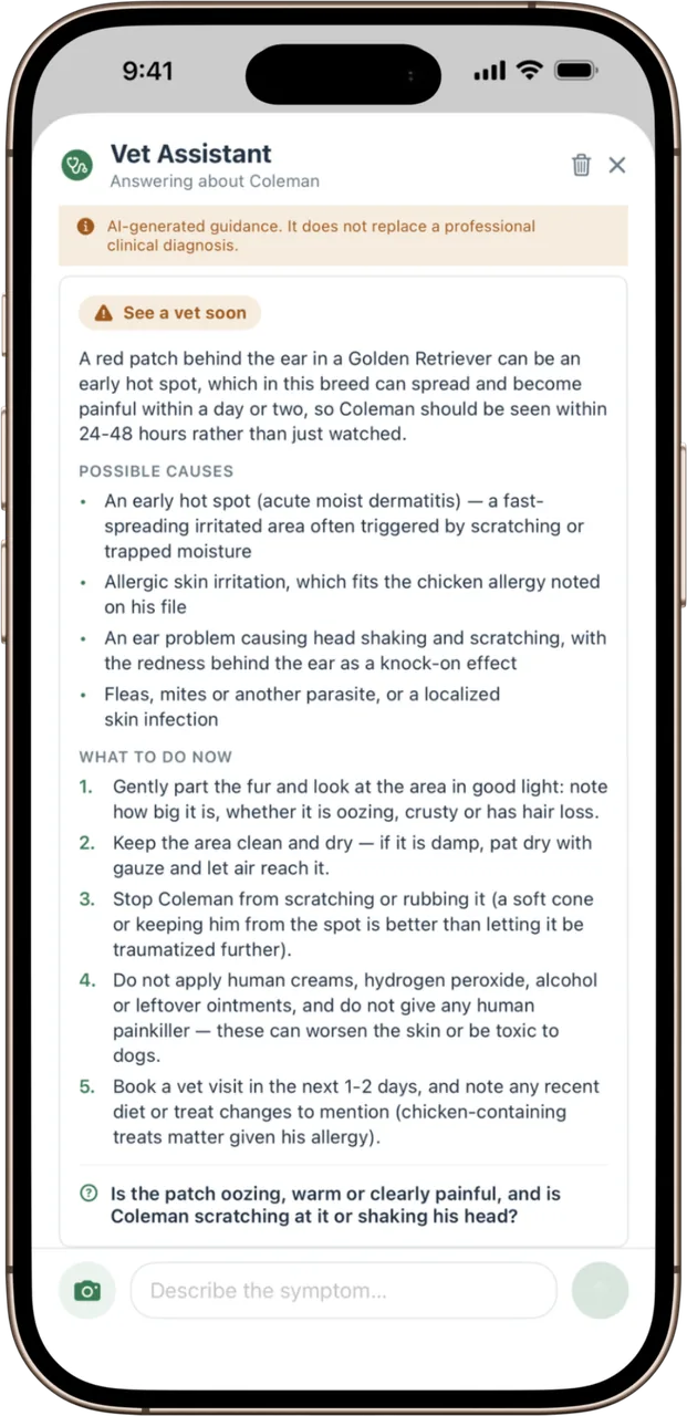 The PawMaple vet assistant answering with an urgency read, possible causes and what to do now